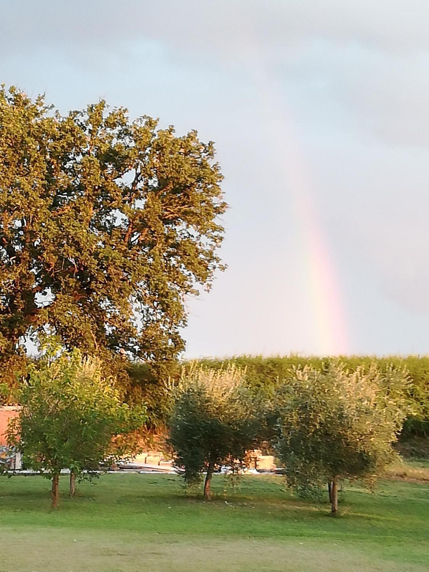 Antico Gioiello Umbro , Appartamento Con Terrazza Foligno Bagian luar foto