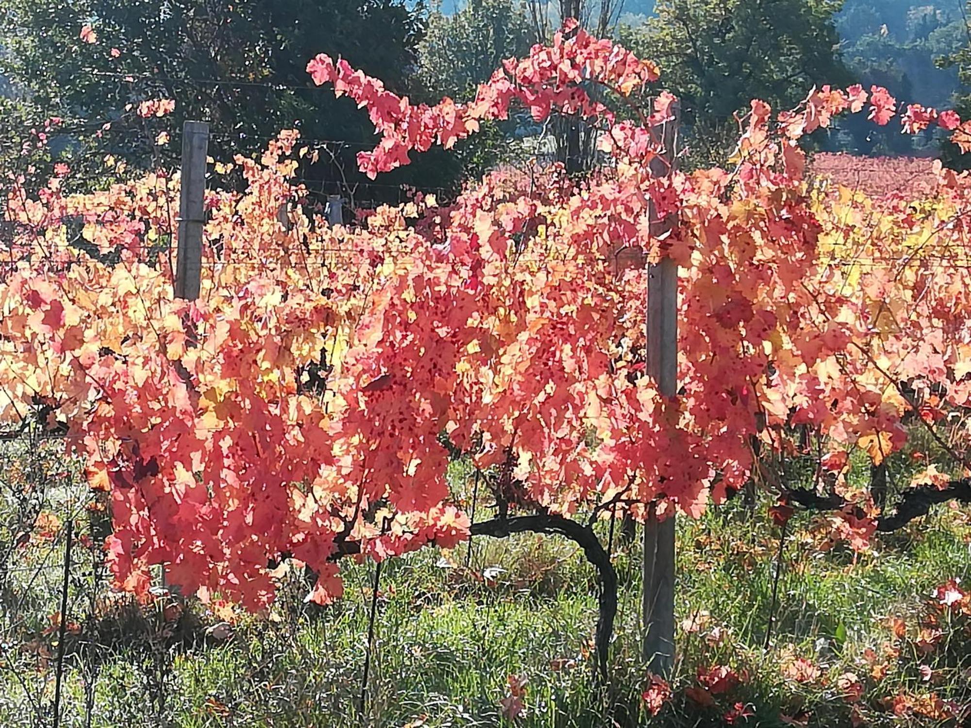 Antico Gioiello Umbro , Appartamento Con Terrazza Foligno Bagian luar foto